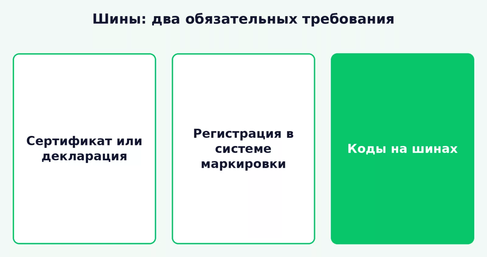 Две обязанности импортёра шин: документ и маркировка